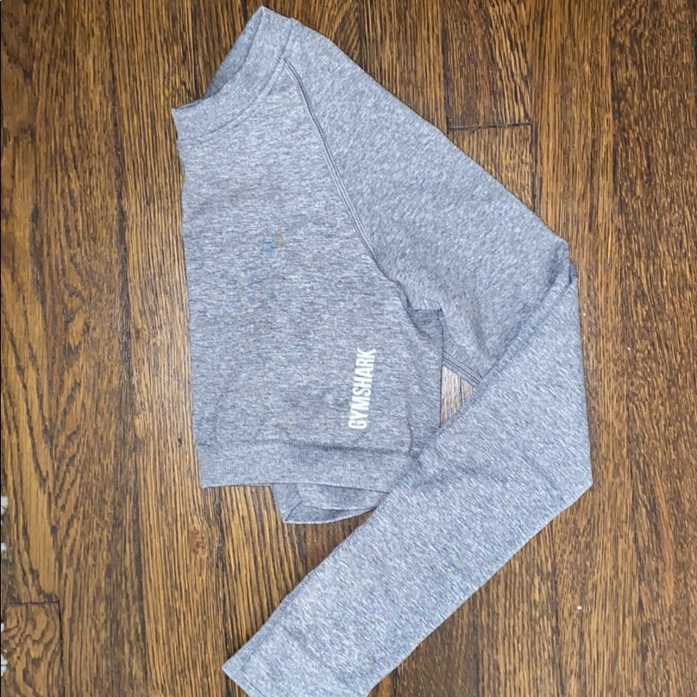 Adapt Seamless long sleeve crop top